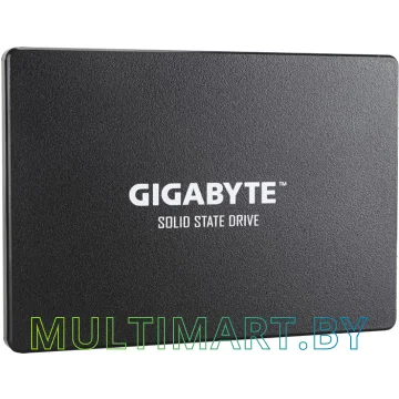 SSD диск Gigabyte 1TB (GP-GSTFS31100TNTD) картинка 2